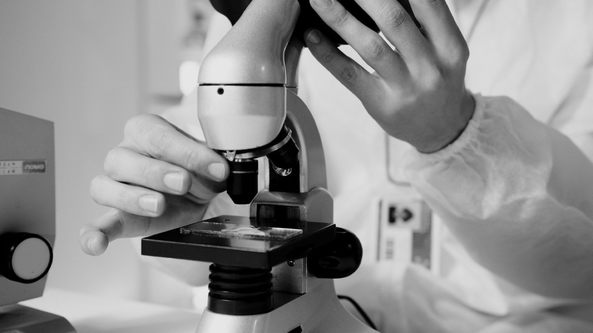 Live blood viewed under a microscope