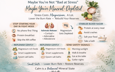 Maybe you’re not “Bad at Stress.” Maybe you’re Mineral-Depleted?