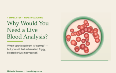 Why would you want or need a Live Blood Analysis?